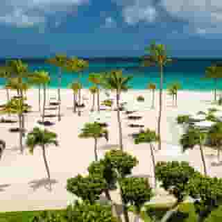 Bucuti & Tara Beach Resort - Adults Only (18+), 1 of 5