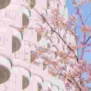 Grand Prince Hotel Shin Takanawa, 3 of 5