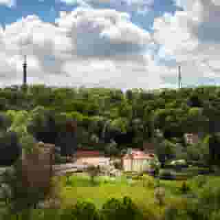 The King Charles, 1 of 5