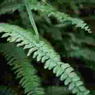 Rex Hotel Saigon, 1 of 5