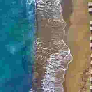 Vasia Boulevard - Adults Only, 5 of 5