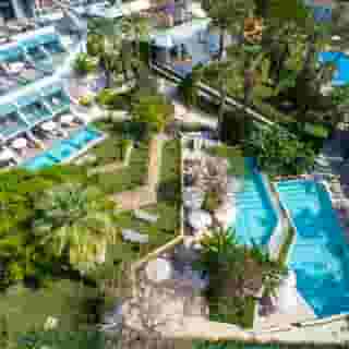 Side Star Elegance, 5 of 5