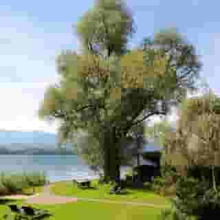 Schloss-Hotel Swiss-Chalet Merlischachen, 1 of 5