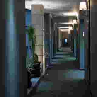 Zocalo Central, Food & Beverages Included, 1 of 5