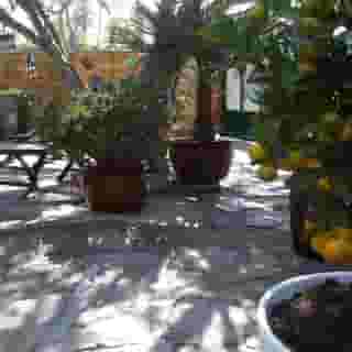 Cielito Lindo, 1 of 5