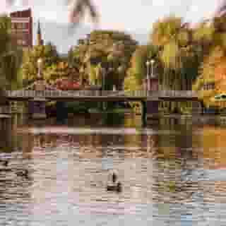 Four Seasons Hotel Boston, 4 of 5