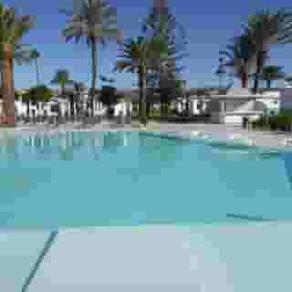 Canary Garden Club, 4 of 5