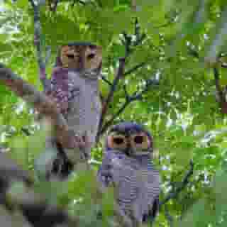 ThaiLife Homestay Resort & Spa, 5 of 5