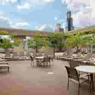 Hilton Chicago, 1 of 5