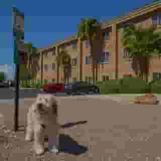 Holiday Inn Express Las Vegas-Nellis, 3 of 5