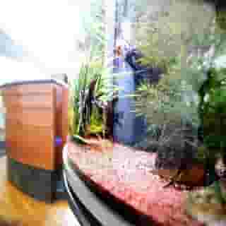 Hotel Leonardo, 3 of 5