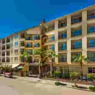 Kleopatra Royal Palm, 4 of 5
