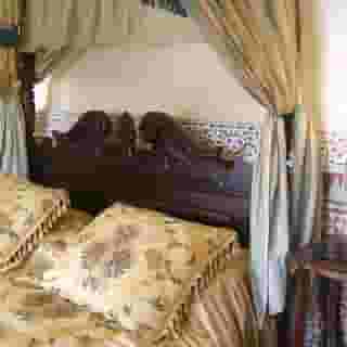 Riad Damia Suite & Spa, 5 of 5