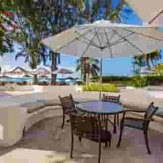 Bougainvillea Barbados, 6 of 6