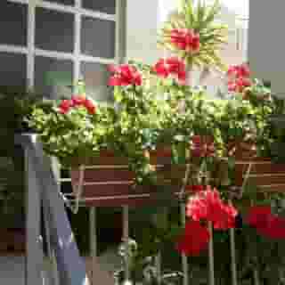 Pansion Lovac, 2 of 5