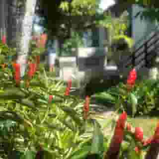 Palm Galleria Resort-SHA Plus, 1 of 5