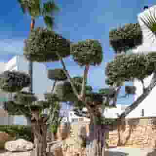 MarSenses Ferrera Blanca Hotel, 6 of 6