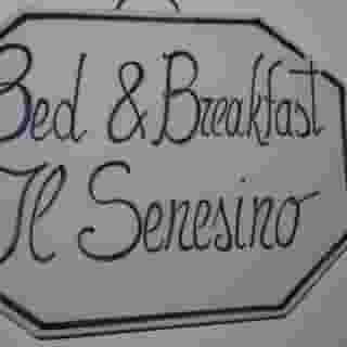 Il Senesino, 4 of 5