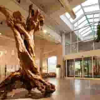 Cosmo Hotel Palace, 4 of 5