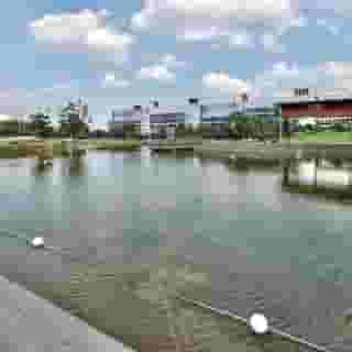 Holiday Inn Express and Suites Houston Dwtn Conv C, 5 of 5