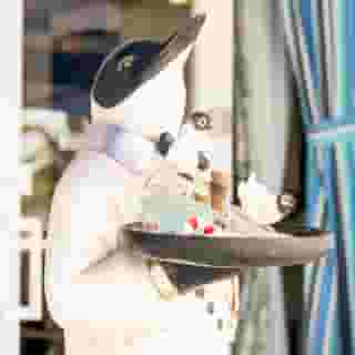 Penguin Hotel, 5 of 5