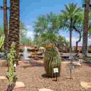 Hilton Vacation Club Scottsdale Villa Mirage, 6 of 6