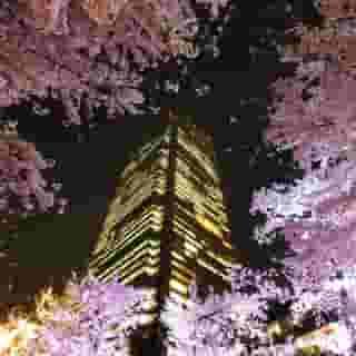 APA Hotel Roppongi Eki-mae, 3 of 5