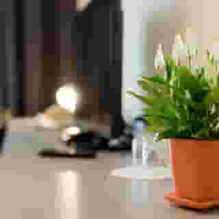 Hotel Florjanckov Hram, 3 of 5