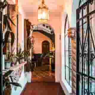 Orchid House Polanco, 5 of 5