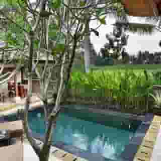 The Ubud Village Resort & Spa, 3 of 5