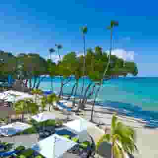 Tamarind by Elegant Hotels, 4 of 5