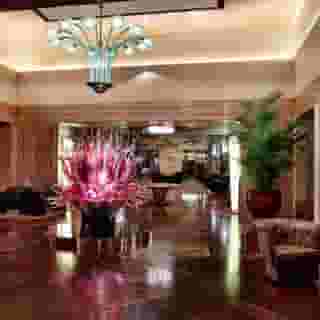 Bauer Palazzo, 2 of 5