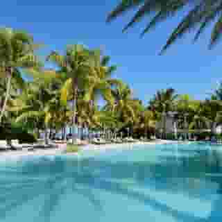 The Ravenala Attitude, 4 of 5