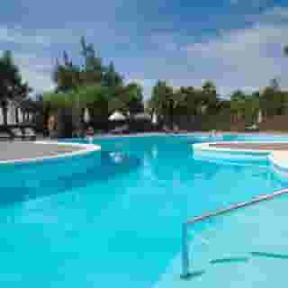 Palmeras Garden, 5 of 5