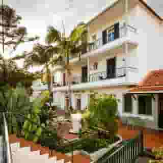 Flame Tree Madeira, 2 of 5