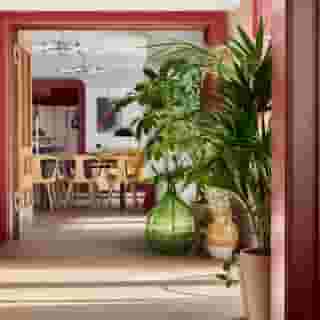Schwan Locke, Landwehrstrasse, 6 of 6