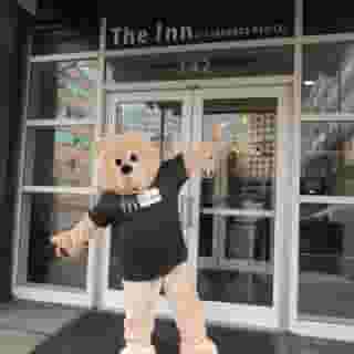 The Inn at Longwood - Boston, 6 of 6