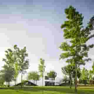 L'and Vineyards, 1 of 5