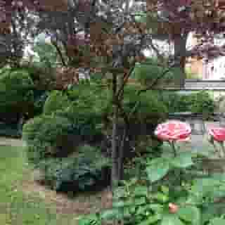 First Euroflat Hotel, 3 of 5