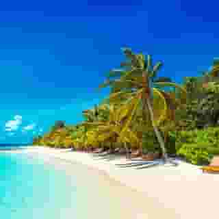 Lily Beach Resort & Spa, 2 of 5