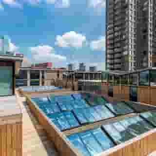 Room Mate Bruno, 4 of 5