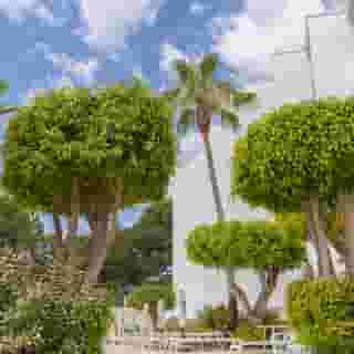 HM Isabela – Adults Only (18+), 3 of 5