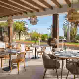 Barcelo Fuerteventura Royal Level - Adults Only, 6 of 6