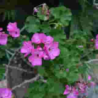 Sorrento Experience, 1 of 5