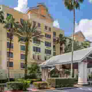 Comfort Suites Maingate East, 4 of 5