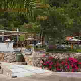 Marti Hemithea, 2 of 5