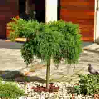 Orient Express, 1 of 5