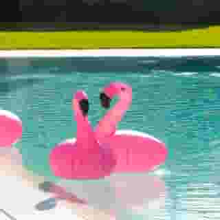 Ramada Plaza Milano Hotel, 4 of 5