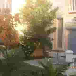 Hotel Helios, 6 of 6