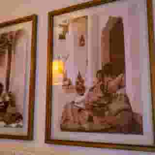 Riad Dar Salima , 4 of 5